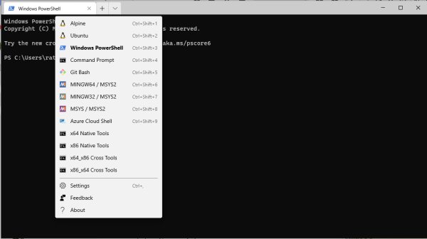 Windows Terminal with 13 shells